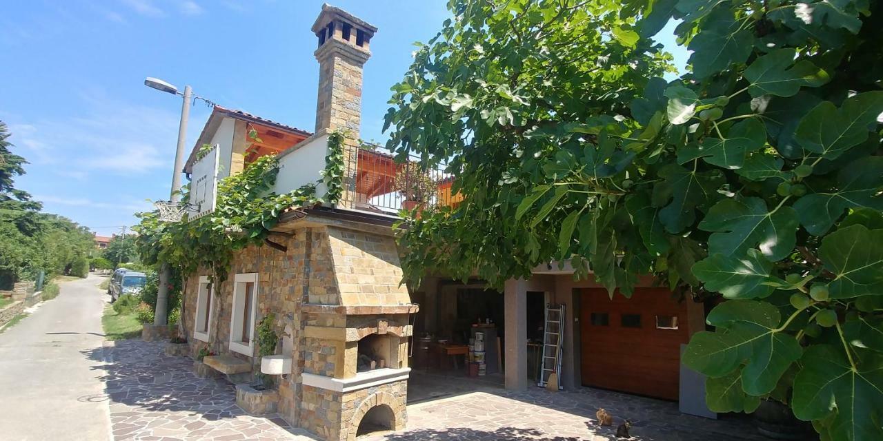 Kmetija Jogan, Wines & Apartments Pobegi Exteriér fotografie